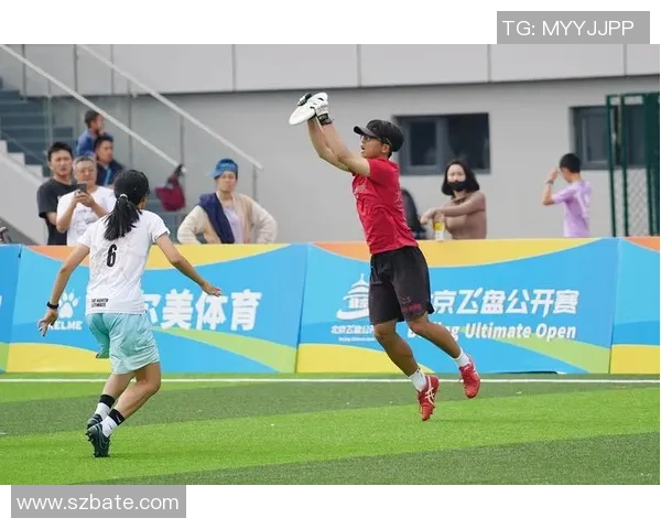 飞盘团队协作排行榜揭晓北京飞盘队荣获第七名佳绩